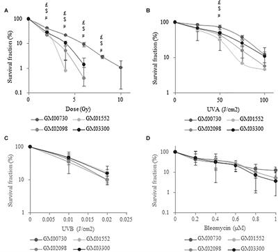 Impairment of Base Excision Repair in Dermal Fibroblasts Isolated From Nevoid Basal Cell Carcinoma Patients